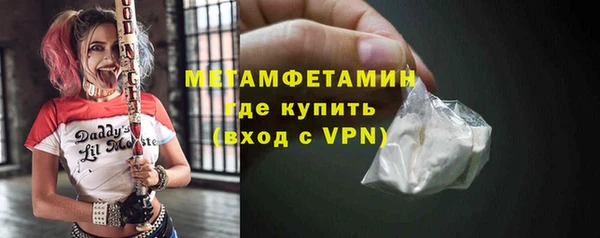 сатива Бородино
