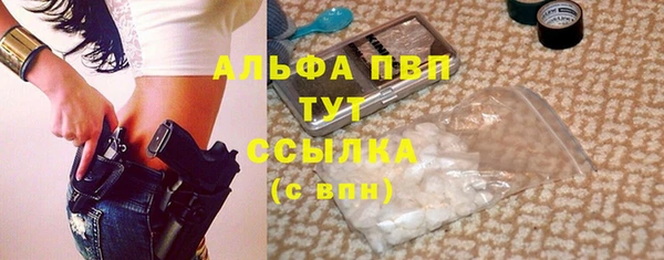 сатива Бородино