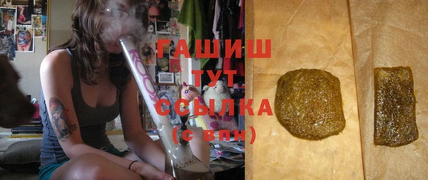 сатива Бородино