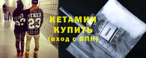 сатива Бородино