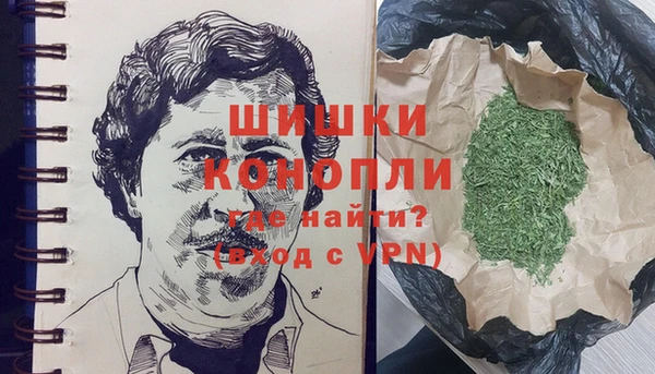 сатива Бугульма