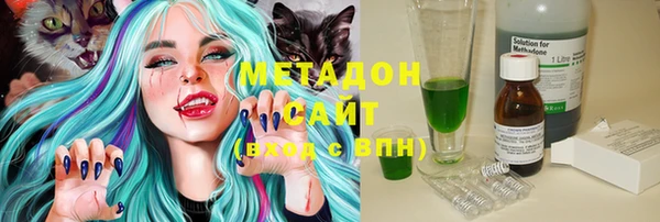 сатива Бородино