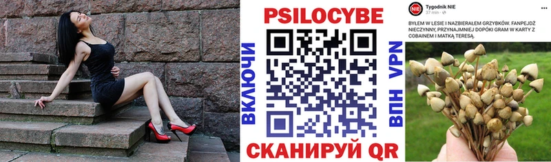 Псилоцибиновые грибы мухоморы  наркота  Верхний Тагил 